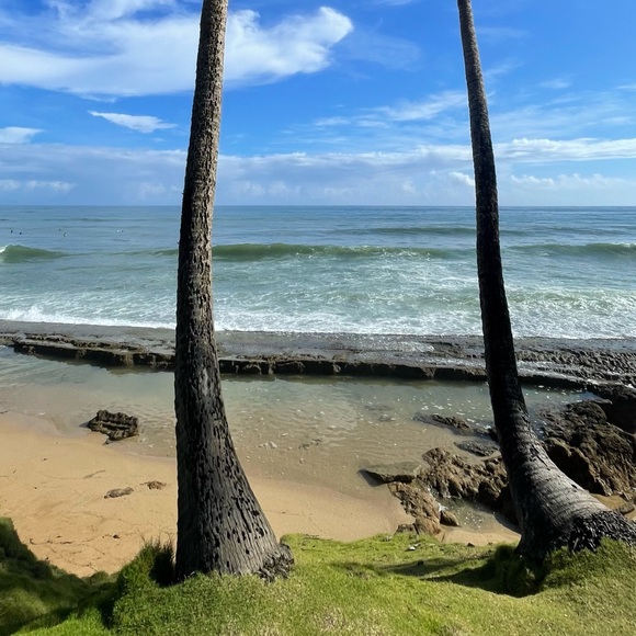 Meet your Posher, Chriso - Picture 1 of 1